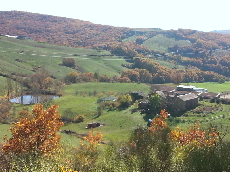 Paysage, bâtiments et étang