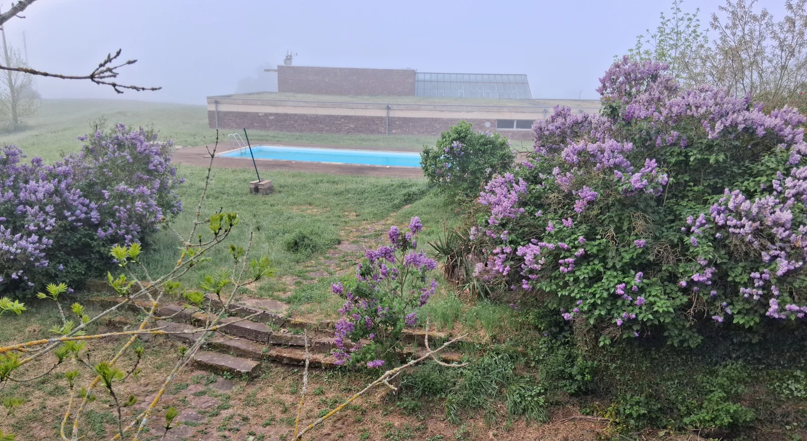 Ensemble moderne dans la brume